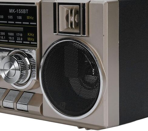 Portable Speaker FM AM SW Radio, Dual 5W Drivers USB Memory Card Playback Type C Charging, with Crystal Clear Sound Quality, for Garden Park Bathroom (Black) in Saudi Arabia