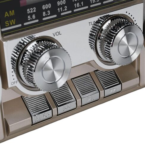 Portable Speaker FM AM SW Radio, Dual 5W Drivers USB Memory Card Playback Type C Charging, with Crystal Clear Sound Quality, for Garden Park Bathroom (Black) in Saudi Arabia