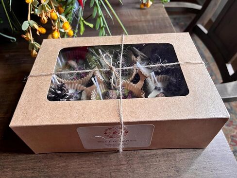 Handmade Wax Fire Starters | Campfire, Fireplace, Wood Stove | 6 Pack in Saudi Arabia