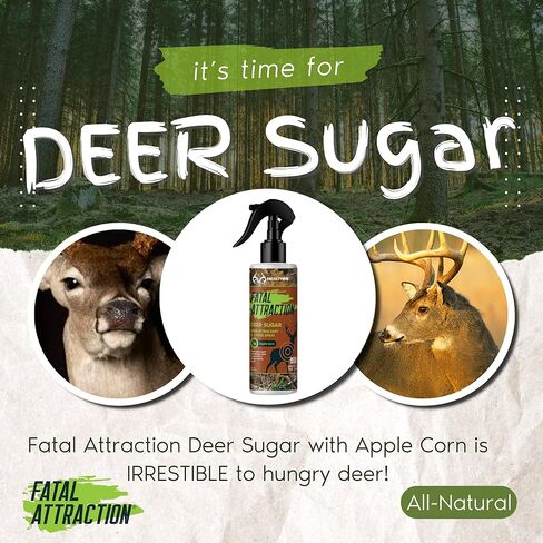 FATAL ATTRACTION Deer Sugar Deer Attractant; Long-Range Liquid Deer Attractant – Sweet Apple Corn Scent – 12+ Hour Power in Saudi Arabia