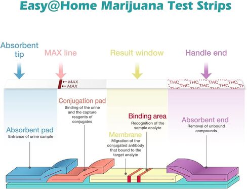 Easy@Home THC Test Strips: Urine Test Kit - Detect Metabolites in Urine with Cutoff Level 50ng/mL- 10 Pack ESTH-115 in Saudi Arabia