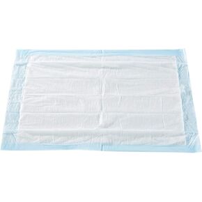 McKesson Classic Underpads, Incontinence Bed Pads, Light Absorbency, 17 in x 24 in, 300 Count