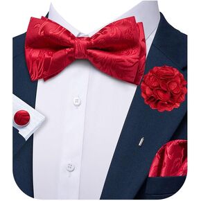 Ailisus Men Bow Ties Set and Lapel Pin Pretied Silk Paisley Floral Bowtie Handkerchief Cufflinks Wedding Business Tuxedo