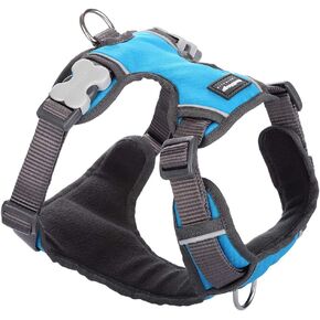 حزام دنغو أحمر مبطن مقاس X-Small، فيروزي، DH-PH-TQ-XS in Kuwait