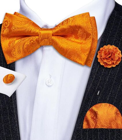 Ailisus Men Bow Ties Set and Lapel Pin Pretied Silk Paisley Floral Bowtie Handkerchief Cufflinks Wedding Business Tuxedo in Saudi Arabia
