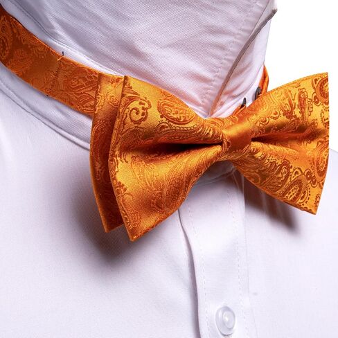 Ailisus Men Bow Ties Set and Lapel Pin Pretied Silk Paisley Floral Bowtie Handkerchief Cufflinks Wedding Business Tuxedo in Saudi Arabia