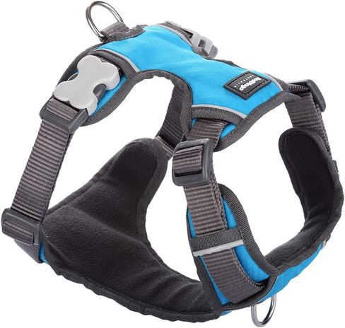 حزام دنغو أحمر مبطن مقاس X-Small، فيروزي، DH-PH-TQ-XS in Kuwait