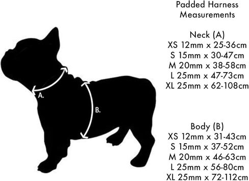 حزام دنغو أحمر مبطن مقاس X-Small، فيروزي، DH-PH-TQ-XS in Kuwait