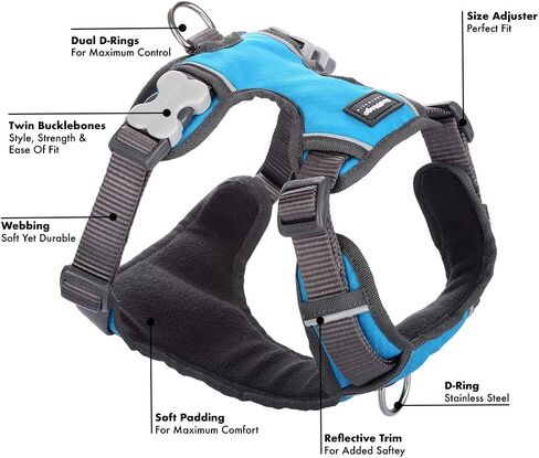 حزام دنغو أحمر مبطن مقاس X-Small، فيروزي، DH-PH-TQ-XS in Kuwait