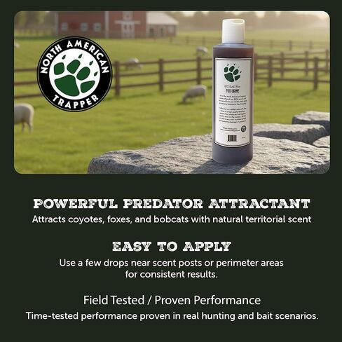 Fox Urine & Fox Plus - بول عالي الجودة 16oz أو مزيج من الغدد والبول والزيت 8oz - قاعدة رائحة Canid ممتازة للاستخدام في الهواء الطلق وإدارة الحياة البرية in Kuwait
