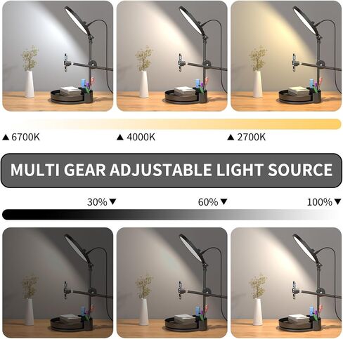 Zoom Lighting for Computer, Adjustable Desk Lighting for Video Callst,55W Dimmable Full Screen Ring Light,with Rotating Storage Box,Pen Holder Stand,Phone Holder and Controller (Black, 10.5) in Saudi Arabia