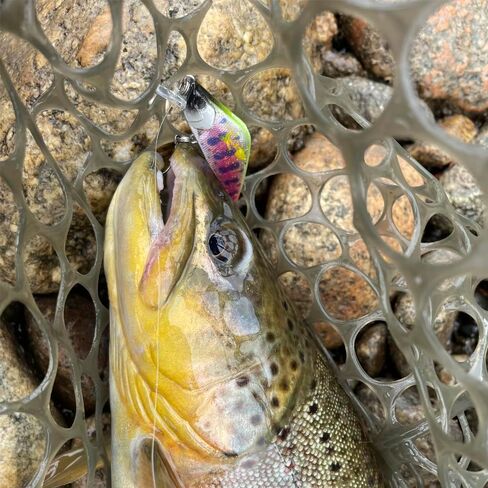 Wobbler Starter 2 Pack – Ultralight Wobble Minnow Crankbait Fishing Lures (55mm & 50mm) – Wounded & Western Series – Single Barb Hooks – Trout, Bass & Panfish Lures in Saudi Arabia