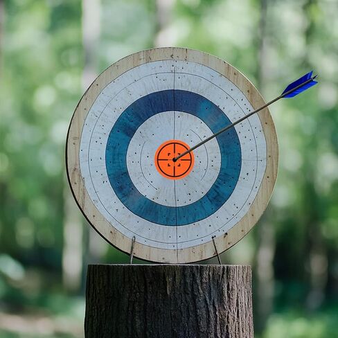 3" Fluorescent Round Splatter Target Stickers, 1 Roll Reactive Paper Targets Adhesive Bullseye Shooting Targets for Shooting Range Practice, Black/Red in Saudi Arabia