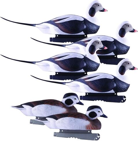 Avery Hunting Gear PG Long-Tailed Ducks (1/2 Dozen) in Saudi Arabia