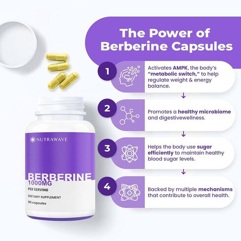 Nutrawave PURE Berberine أقصى قدر من الفعالية - يدعم مستويات السكر في الدم والتمثيل الغذائي، 1000 مجم لكل وجبة - كبسولتان - للبالغين الذين يبحثون عن دعم الجلوكوز الطبيعي - غير معدل وراثيًا، نباتي - عبوة واحدة in Saudi Arabia