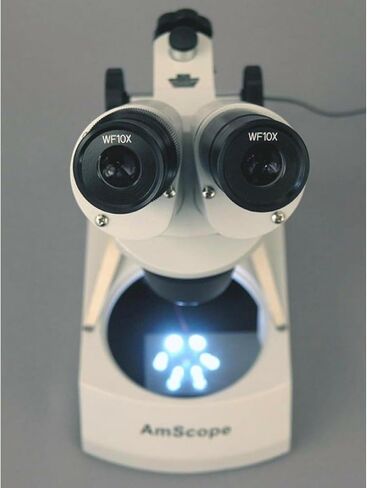 AmScope SE305R-P-LED Forward-Mounted Binocular Stereo Microscope, WF10x Eyepieces, 10X and 30X Magnification, 1X and 3X Objectives, Upper and Lower LED Lighting, Reversible Black/White Stage Plate, Pillar Stand, 120V or Battery-Powered in Saudi Arabia