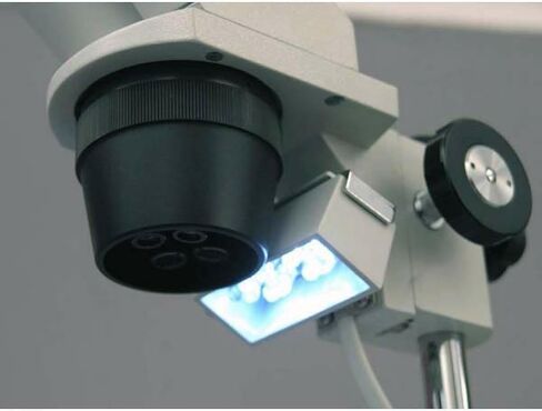 AmScope SE305R-P-LED Forward-Mounted Binocular Stereo Microscope, WF10x Eyepieces, 10X and 30X Magnification, 1X and 3X Objectives, Upper and Lower LED Lighting, Reversible Black/White Stage Plate, Pillar Stand, 120V or Battery-Powered in Saudi Arabia