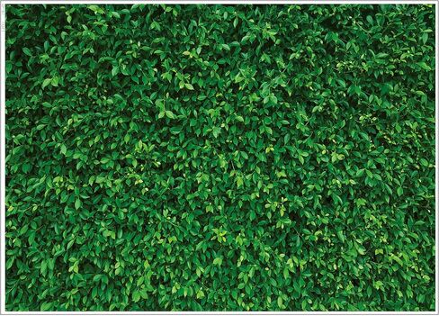 LYWYGG 5X3FT Green Leaves Photography Backdrops Mmicrofiber Nature Backdrop Birthday Background for Birthday Party Seamless Photo Booth Prop Backdrop CP-87-0503 in Kuwait