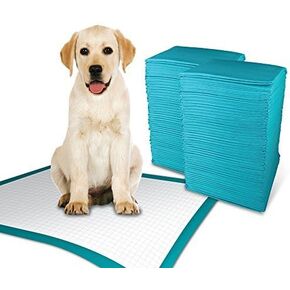 TBM Puppy Pads Large Size Pack of 100 (23.6"x23.6") Super Absorbent Puppy Training Pads Anti Slip Dog Training Pads - No Leaking Quick Dry Dog Pads
