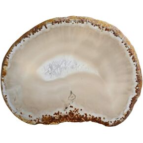 TUMBEELLUWA Natural Agate Slices Coasters Dyed Geode Stone Slab Polished Irregular Healing Crystals Decoration,Blue,Pack of 2