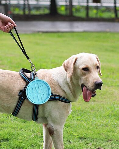 Collapsible Dog Bowl 2 Pack, Portable Dog Bowl for Puppy/Cat, Silicone Travel Dog Bowl with Anti-Slip Suction Cups, Collapsible Dog Water Bowl for Small/Medium Dogs - for Outdoor Hiking Indoor in Saudi Arabia