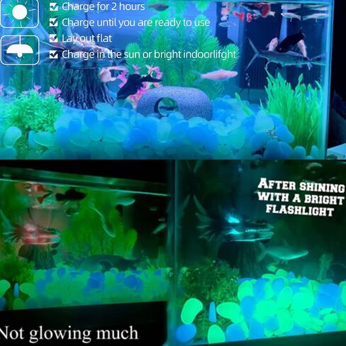 Stymx 520 PCS Glow Stones, Glow in Dark Gardon Glow Pebbles Luminous Rocks for Walkways Yard Aquarium Fish Tank Decoration Powered by Light and Solar (Green + Blue) in Saudi Arabia