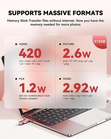 BLANBOK+MFi Certified 512GB iPhone Photo Stick, USB Flash Drive for Photo/Video Backup, High-Speed Thumb Drive Compatible for iPhone/iPad/Android/PC (Pink) in Kuwait