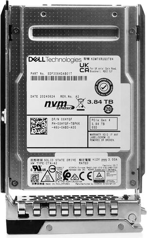 Dell 3.84TB PCIe Gen 4.0 x4 8GB/s U.2 NVMe 3D TLC 2.5in Enterprise PowerEdge Read-Intensive SSD for: R440 R750 R860 R450 T560 T40 R250 R740 R640 T550 R540 R840 R650XS R550 R940 R650 R660 400-BMTP G16 in Saudi Arabia