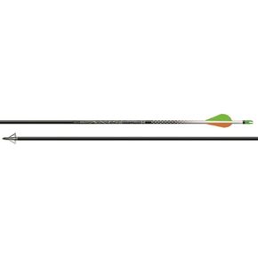 Easton Arrow AXIS Carbon 340 2 in Blazer Vanes (1/2 dzn) in Saudi Arabia