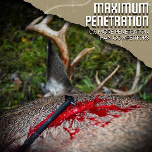 OZCUT Hurricane Broadhead - 3 Pack in Saudi Arabia