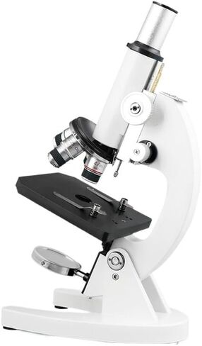 Monocultural Microscope Xsp-02 Biological Microscope for Student Science Laboratory in Saudi Arabia
