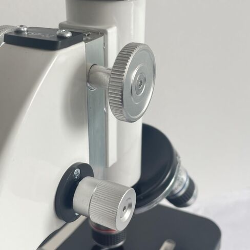 Monocultural Microscope Xsp-02 Biological Microscope for Student Science Laboratory in Saudi Arabia