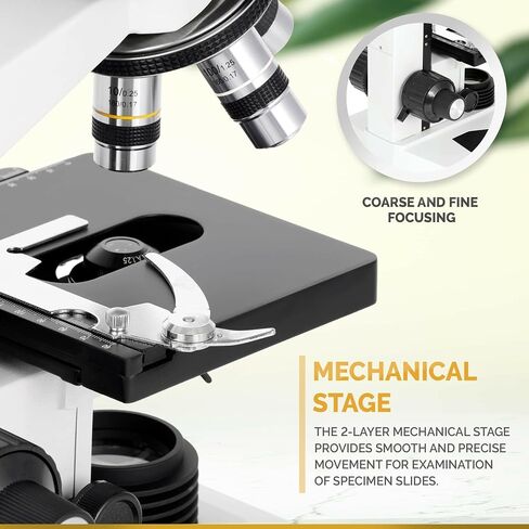 AmScope B490B-5M 40X-2000X Student Binocular Microscope + 5MP Camera in Kuwait