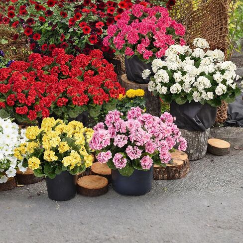 4PCS Home Decor Fake Plants Artificial Flowers Artificial Geraniums Outdoor Fake Flowers Artificial Flowers Fake Silk Bouquet, Fall Decor for Interior Porch Garden Decoration 14.4" (White) in Saudi Arabia