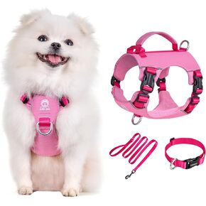 Arblina Small Dog Harness & Collar & Leash Set, Lightweight Breathable Outdoor Dog Vests, Colorful, Light-Reflective, Summer Canine Gear with Control Handle, No-Pull D-Ring -Pink XS