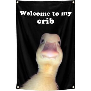 ILINJAU Welcome To My Crib Funny Tapestry 2x3Ft Indoor Outdoor Wall Art Tapestry for Bedroom Teens Room Decoration Living Room Bedroom