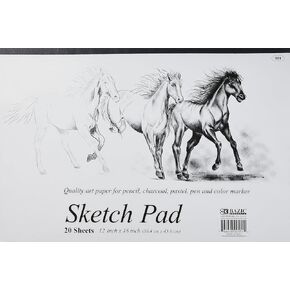 BAZIC 20 Ct. 18" X 12" Premium Sketch Pad