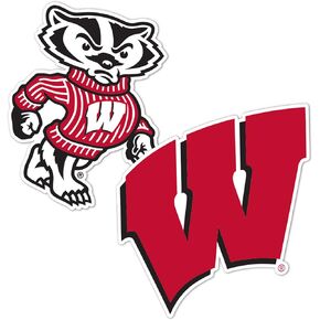 Desert Cactus University of Wisconsin Sticker Badgers UW Madison Sticker Vinyl Decal Laptop Water Bottle Car Scrapbook (4 Inch Set V1)
