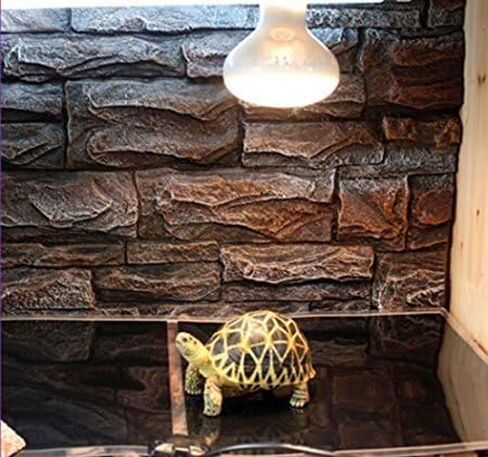 وسادة تدفئة للزواحف، 110 فولت بساط تسخين تحت الخزان للزواحف مع وحدة تحكم في درجة الحرارة من Rely2016 (14 وات 11 × 11 بوصة) in Kuwait