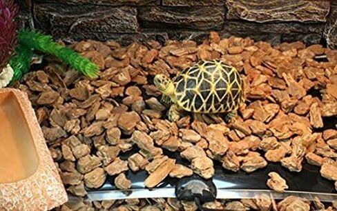 وسادة تدفئة للزواحف، 110 فولت بساط تسخين تحت الخزان للزواحف مع وحدة تحكم في درجة الحرارة من Rely2016 (14 وات 11 × 11 بوصة) in Kuwait