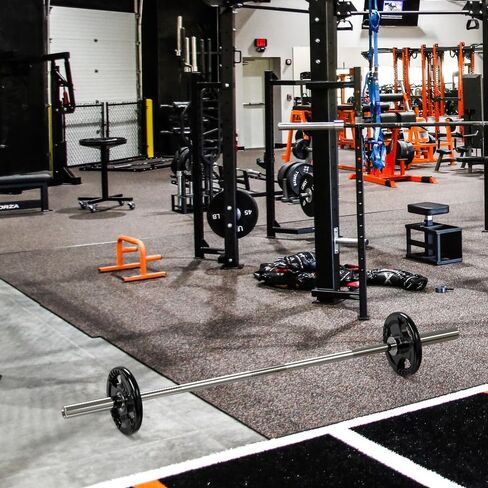 Olympic Rubber Grip Plates for Barbell, 2-Inch Weight Plates for Weight lifting and Strength Weights Training in Home & Gym(10LB-Pair) in Kuwait