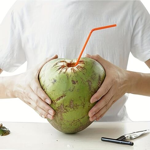 1pc Coconut Opener For Outdoor Camping, Coconut Drilling Tool (1PCS) in Saudi Arabia