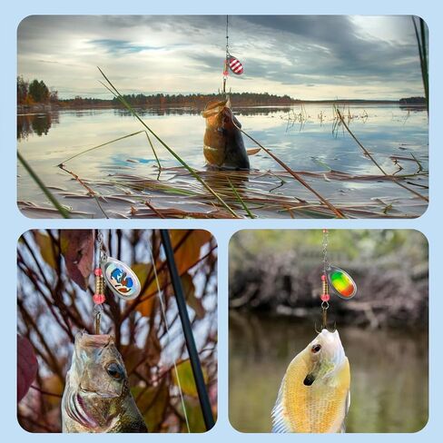 11 Pack Swimming or Jigging Fishing Spinners with Two-Way Spinning Spoons System Rooster Tail Fishing Lures with Flash Copper Body & Blade Freshwater and Saltwater Blade Bait for Bass Walleye Trout in Saudi Arabia