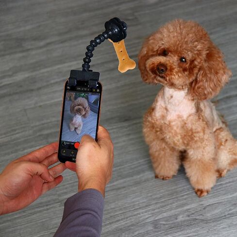 أداة سيلفي للحيوانات الأليفة، مشبك حلوى سيلفي للكلاب، حامل حلوى سيلفي للكلاب والقطط، أداة كاميرا ذات عدسة تبدو للكلاب، عصا سيلفي عالمية للحيوانات الأليفة مع دوران 360 درجة لقضبان سيلفي للحيوانات الأليفة ودعامات التصوير (أسود) in Kuwait