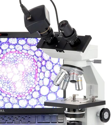 AmScope B100-E 1000X Digital Compound Binocular Microscope, 40X-1000X Magnification, Brightfield, Tungsten Illumination, Abbe Condenser, Plain Stage, Includes 0.3MP Camera and Software in Saudi Arabia