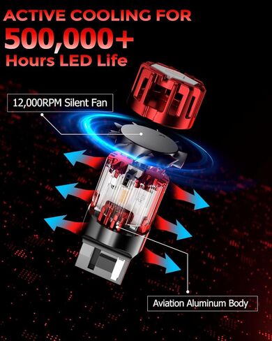 car turn signal light bulb in Saudi Arabia
