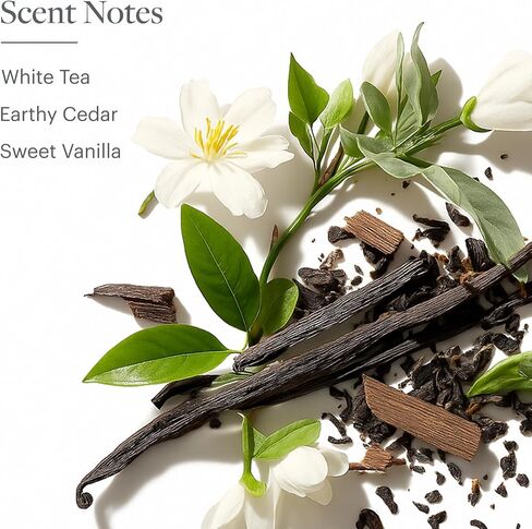 Westin White Tea Reed Diffuser - Home Fragrance Set with Signature White Tea Scent - 5 oz. in Saudi Arabia