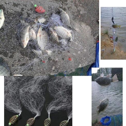 Dilwe Fish Bait Net, 4 Pcs Nylon Folding Fishing Spring Net with Luminous Beads for Night Fishing Shoal Outdoor Activities(7#) in Kuwait