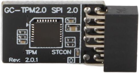 Dpofirs TPM2.0 Security Module Replacement, Reserved Memory TPM2.0 GA Module 12-1 Pin 2X 6p PCB for Motherboard in Saudi Arabia