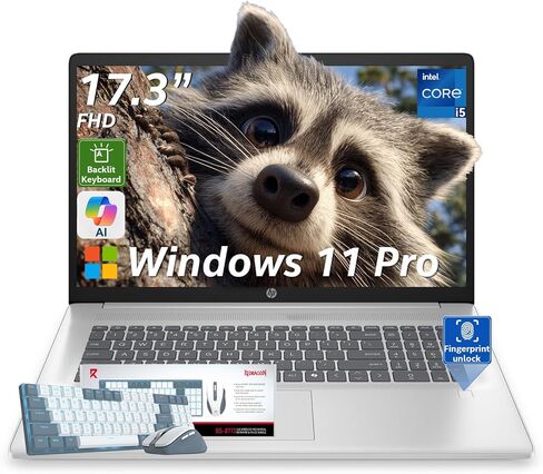 كمبيوتر محمول HP 17 للأعمال والطلاب، Intel 10-Core i5 1334U (يصل إلى 4.6 جيجاهرتز)، 17.3 بوصة FHD 250Nits، لوحة مفاتيح بإضاءة خلفية، قارئ بصمات الأصابع، Windows 11 Pro مع ملحق (32 جيجابايت رام | 1 تيرابايت SSD) in Saudi Arabia